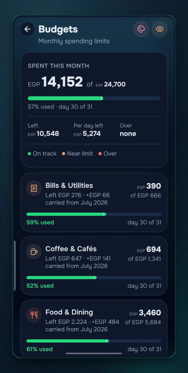 Per-category limits with on-track, near-limit and over states