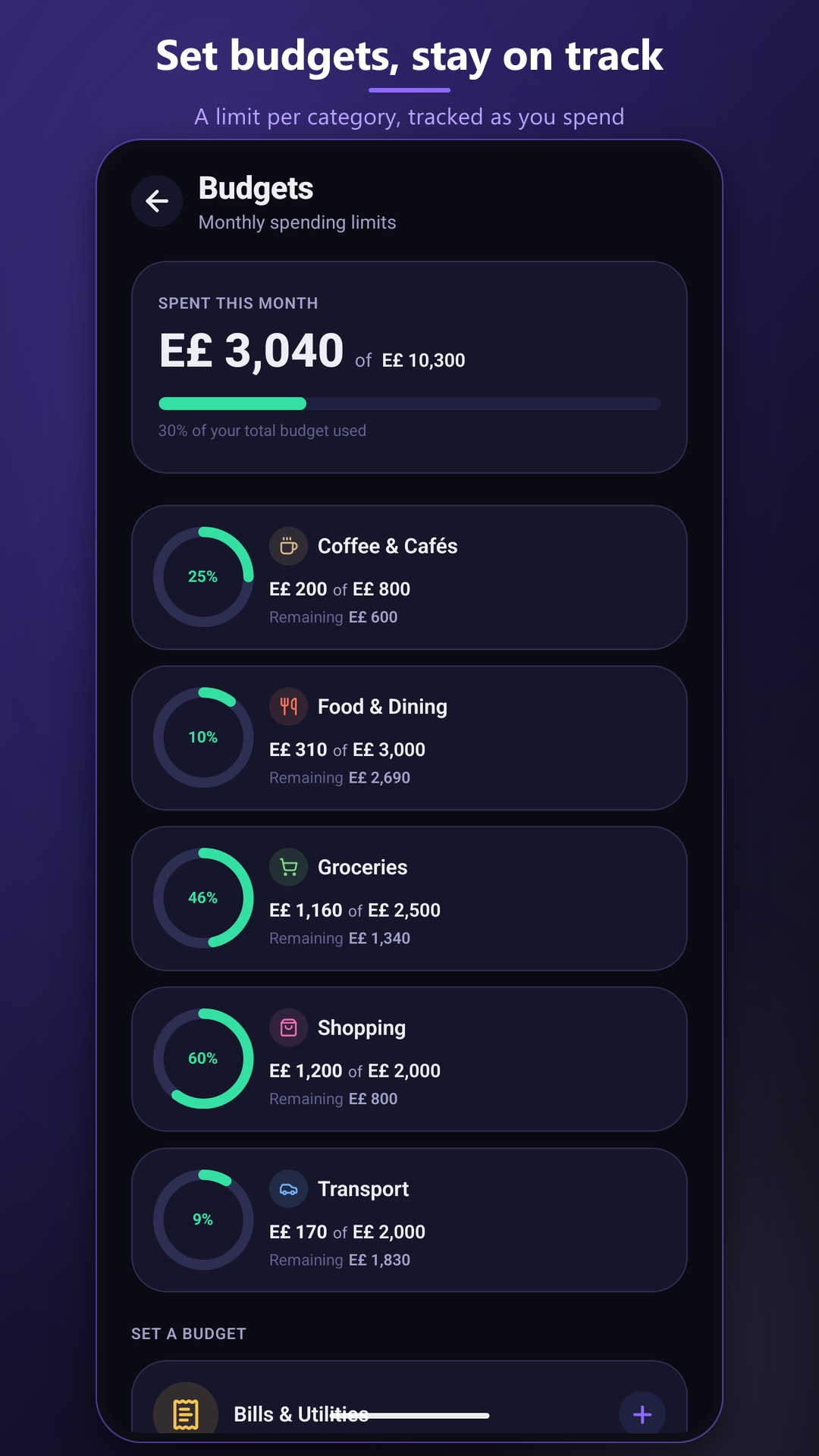 Per-category monthly limits with live progress rings