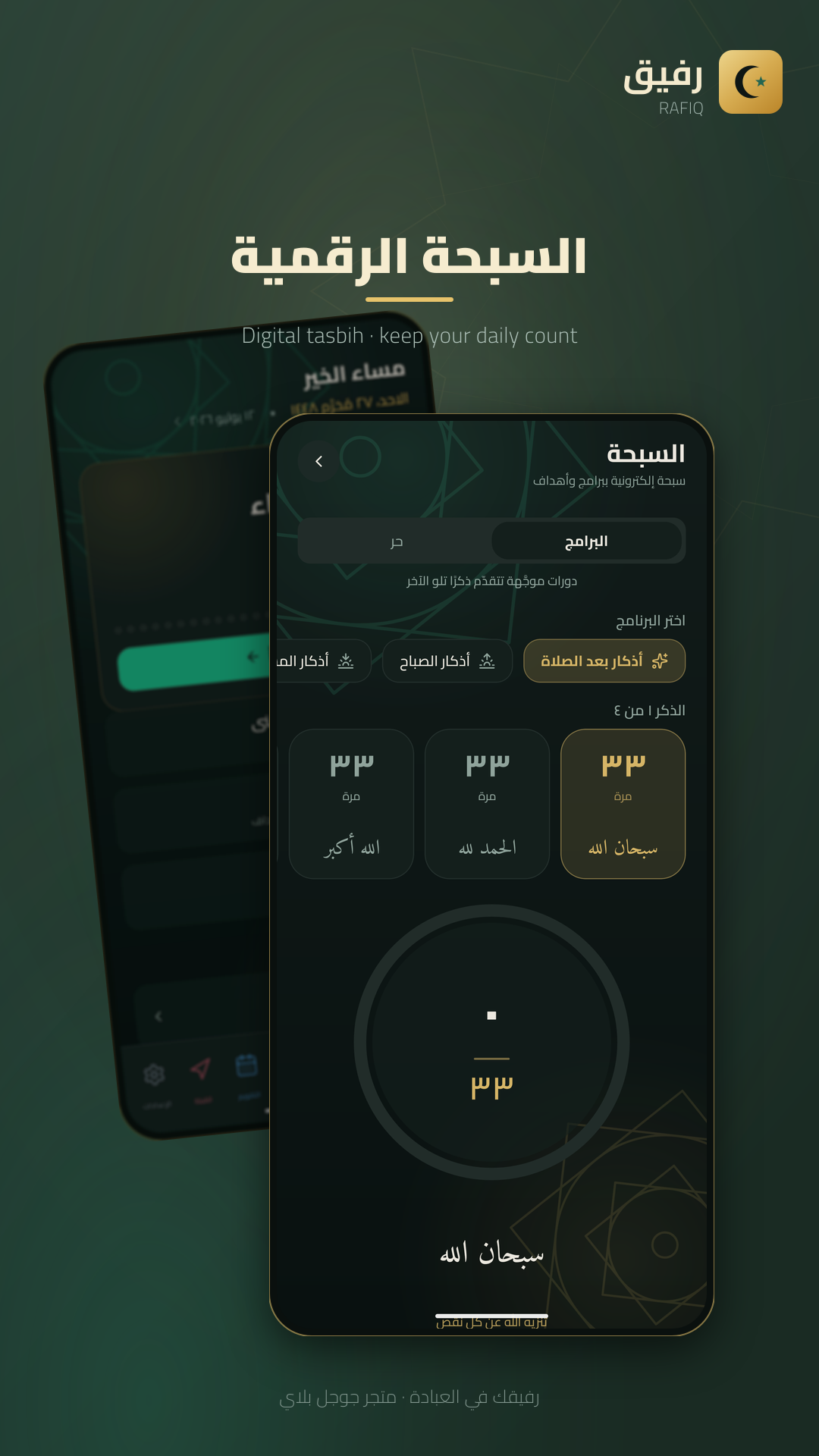 Guided counting programs with haptics and stats
